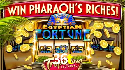 Live Casino 36t